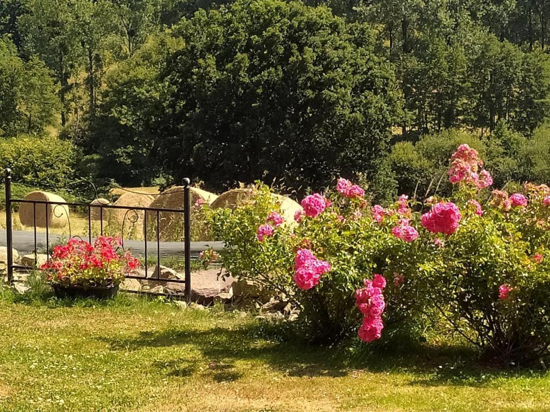 Chambres D'Hotes La Clef Des Champs Montpinchon Екстериор снимка
